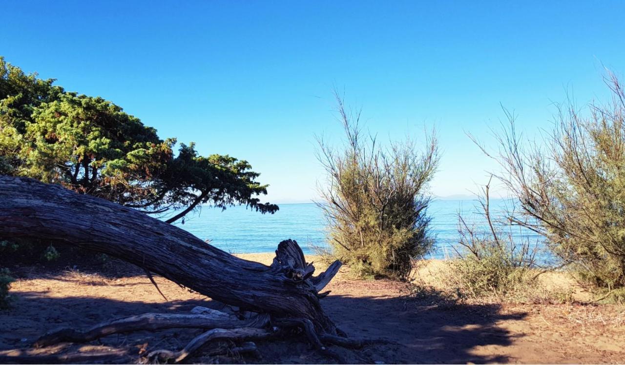 Appartamento Claudi A San Vincenzo Exterior foto