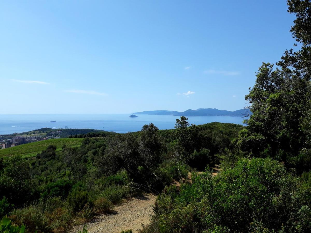 Appartamento Claudi A San Vincenzo Exterior foto